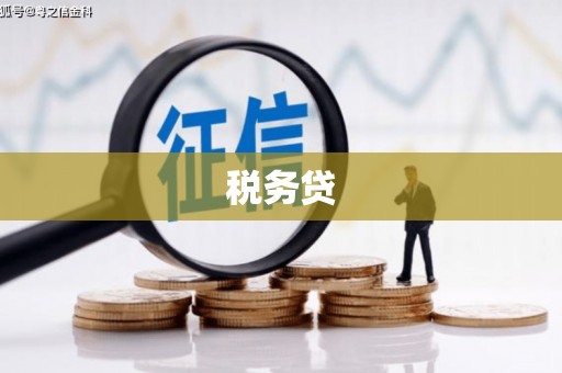 英吉沙税务贷