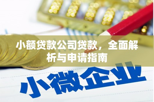 英吉沙小额贷款公司贷款，全面解析与申请指南