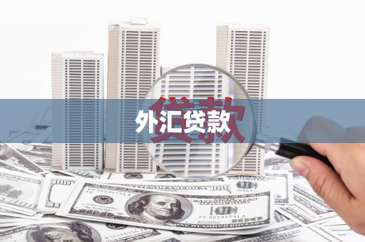英吉沙外汇贷款