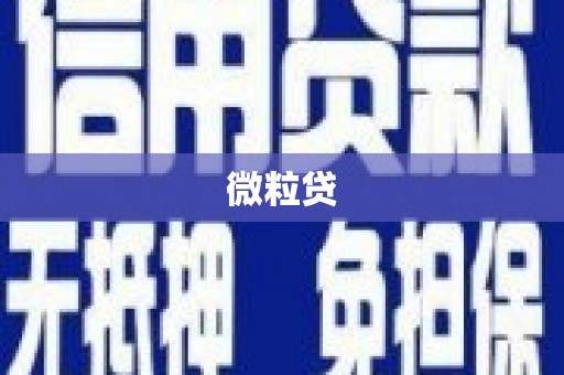 英吉沙微粒贷