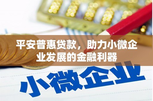 英吉沙平安普惠贷款，助力小微企业发展的金融利器
