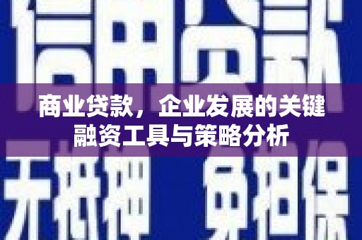 英吉沙商业贷款，企业发展的关键融资工具与策略分析
