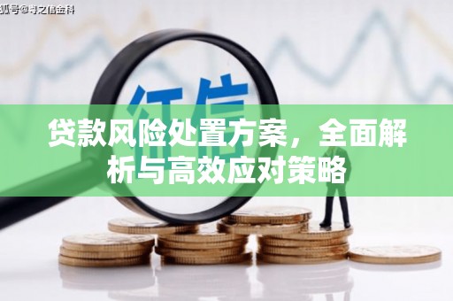 英吉沙贷款风险处置方案，全面解析与高效应对策略