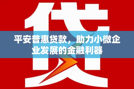 英吉沙平安普惠贷款，助力小微企业发展的金融利器