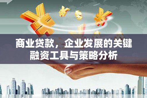 英吉沙商业贷款，企业发展的关键融资工具与策略分析