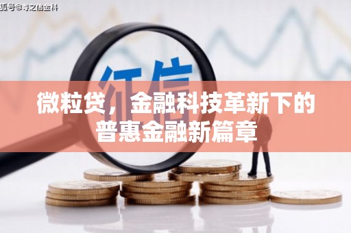 英吉沙微粒贷，金融科技革新下的普惠金融新篇章