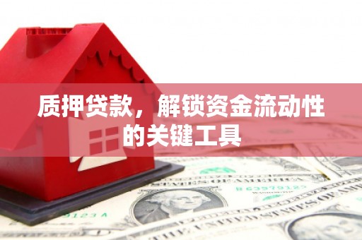 英吉沙质押贷款，解锁资金流动性的关键工具