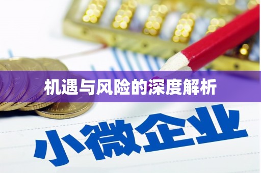 英吉沙机遇与风险的深度解析