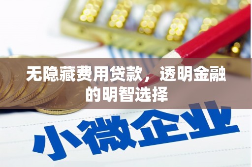 英吉沙无隐藏费用贷款，透明金融的明智选择