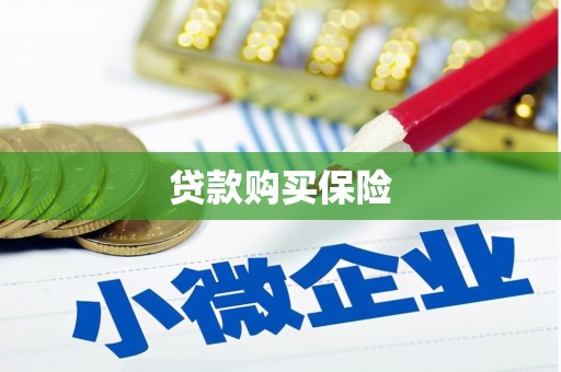 英吉沙贷款购买保险
