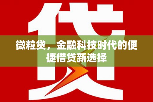 英吉沙微粒贷，金融科技时代的便捷借贷新选择