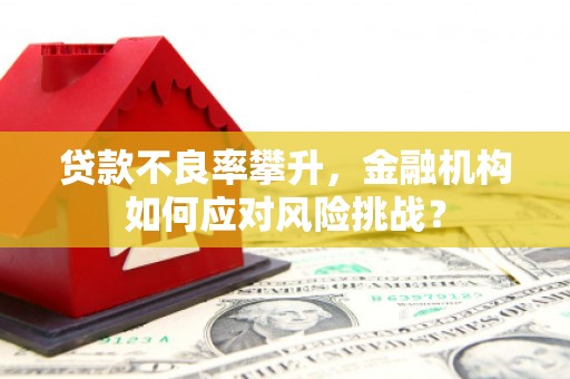 英吉沙贷款不良率攀升，金融机构如何应对风险挑战？