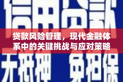 英吉沙贷款风险管理，现代金融体系中的关键挑战与应对策略