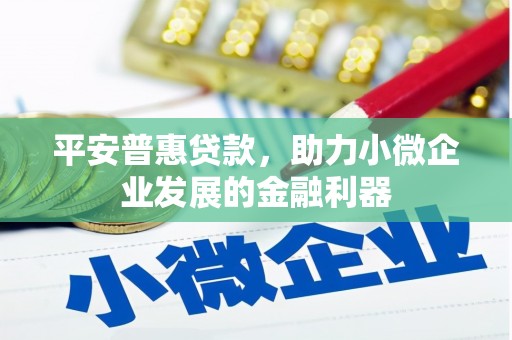 英吉沙平安普惠贷款，助力小微企业发展的金融利器