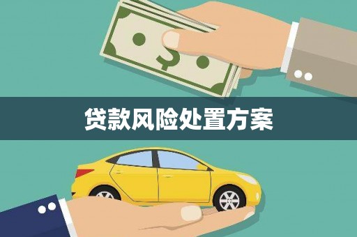 英吉沙贷款风险处置方案