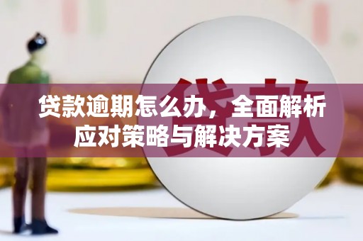 英吉沙贷款逾期怎么办，全面解析应对策略与解决方案