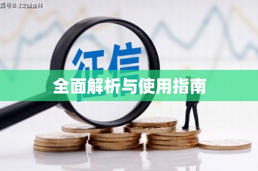英吉沙全面解析与使用指南