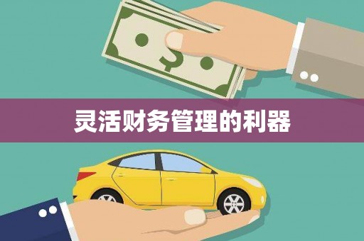 英吉沙灵活财务管理的利器