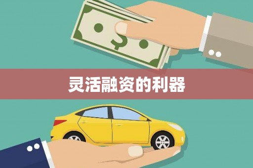 英吉沙灵活融资的利器