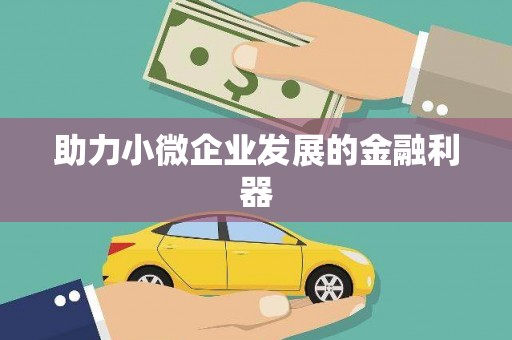 英吉沙助力小微企业发展的金融利器