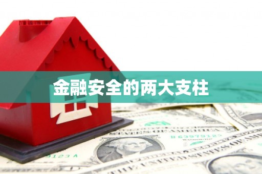 英吉沙金融安全的两大支柱