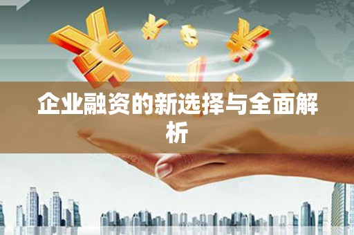 英吉沙企业融资的新选择与全面解析