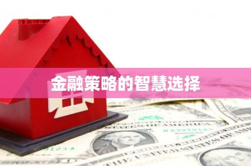 英吉沙金融策略的智慧选择