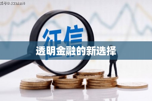 英吉沙透明金融的新选择